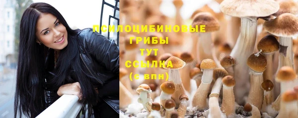 прущий лед Абаза