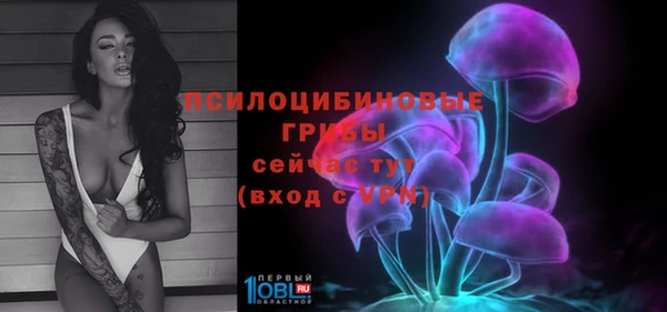 соль ск Алексеевка