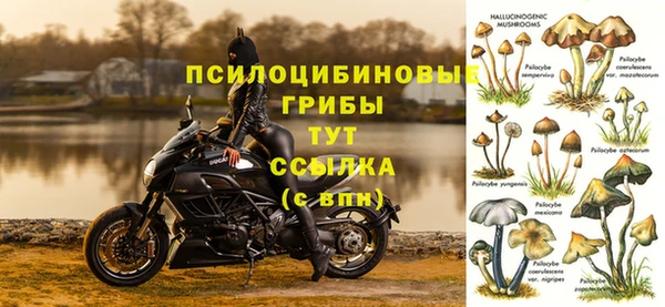спайс Алзамай