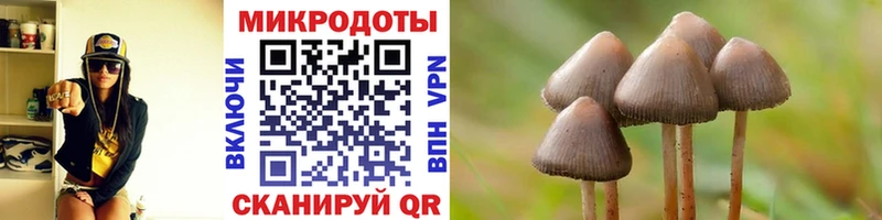 Псилоцибиновые грибы мицелий  купить   ссылка на мегу как войти  Одинцово 