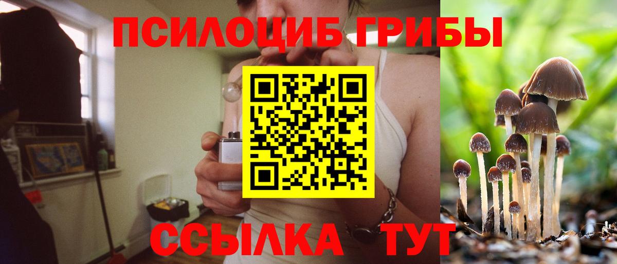 Псилоцибиновые грибы MAGIC MUSHROOMS Одинцово
