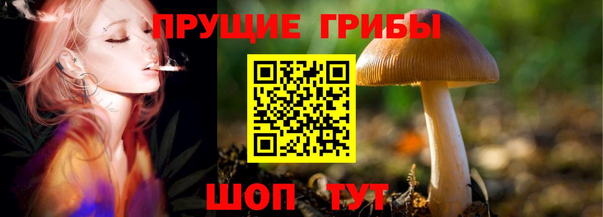 Псилоцибиновые грибы Magic Shrooms  Вход с VPN  Одинцово  Псилоцибиновые грибы Cubensis 